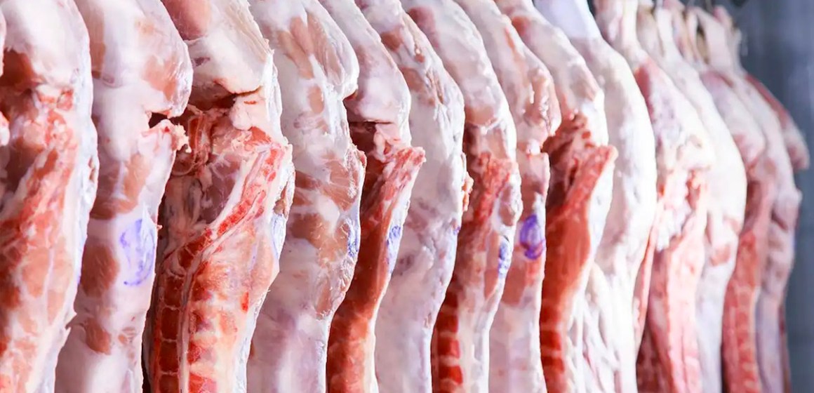 EE. UU. mayor exportador de carne porcina en 2023, México y China principales destinos