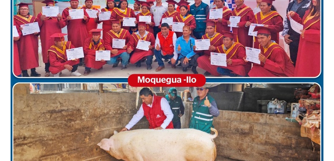 Moquegua: Capacitan a porcicultores en buenas prácticas pecuarias