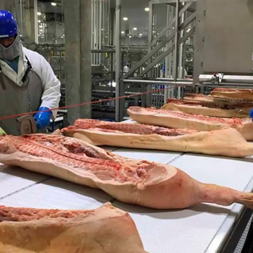 Oportunidad para el cerdo brasileño: China podría restringir las importaciones desde la UE