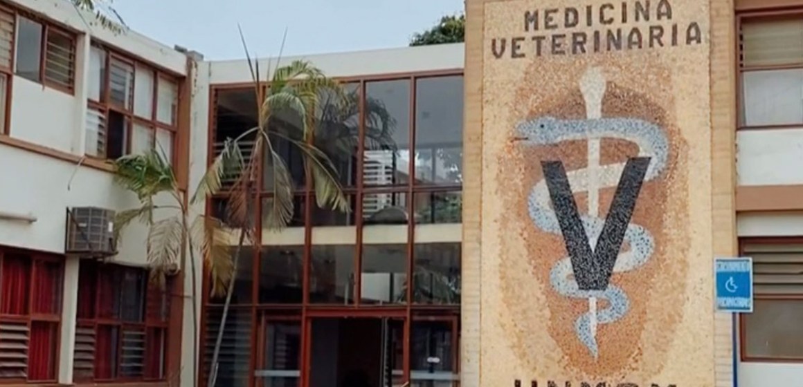 UNMSM realizará jornada académica internacional sobre Diagnóstico de Patógenos Porcinos