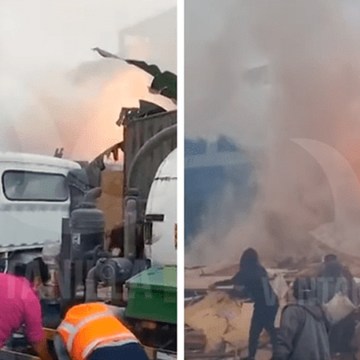 Ventanilla: más de 50 cerdos y 80 aves murieron en incendio en Parque Porcino