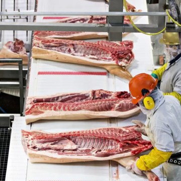WEB Brasil registra su segundo mejor mes histórico en exportación de carne porcina