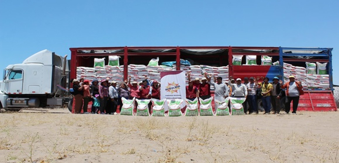 Arequipa: entregan 33 toneladas de alimentos para porcinos