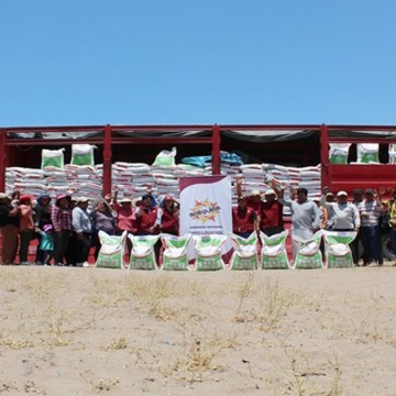 Arequipa: entregan 33 toneladas de alimentos para porcinos