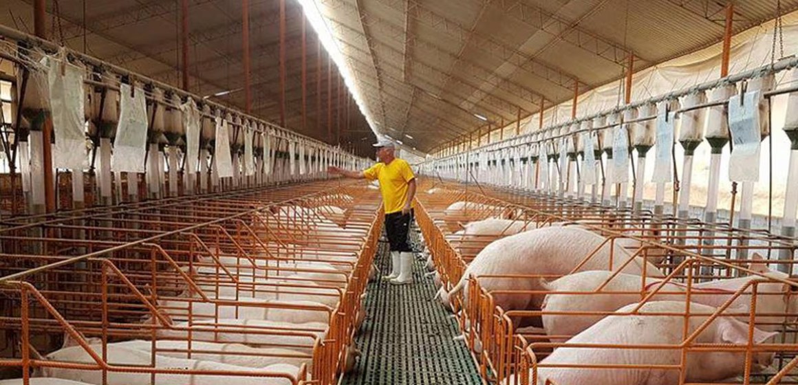 Próximo paso para exportar a China: Los protocolos sanitarios de exportación