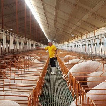 Próximo paso para exportar a China: Los protocolos sanitarios de exportación