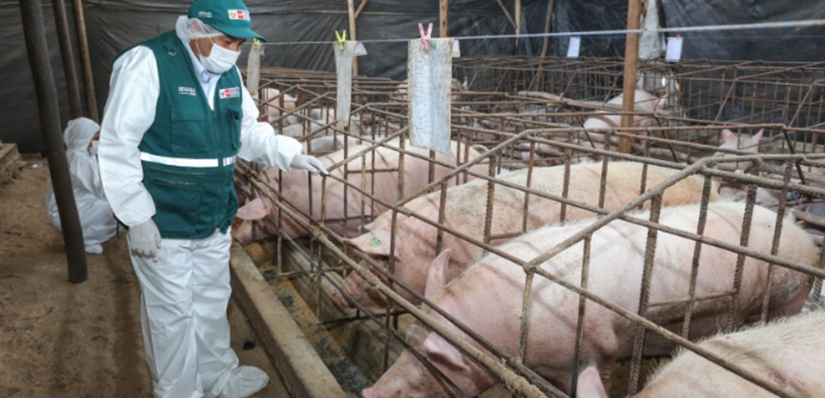 Midagri ejecutó presupuesto de S/2700 millones en 2024