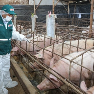 Midagri ejecutó presupuesto de S/2700 millones en 2024