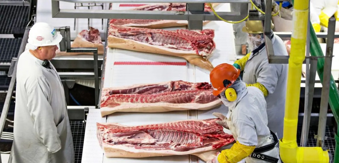 Brasil: exportaciones diarias de carne porcina aumentan 57% tras caída en enero