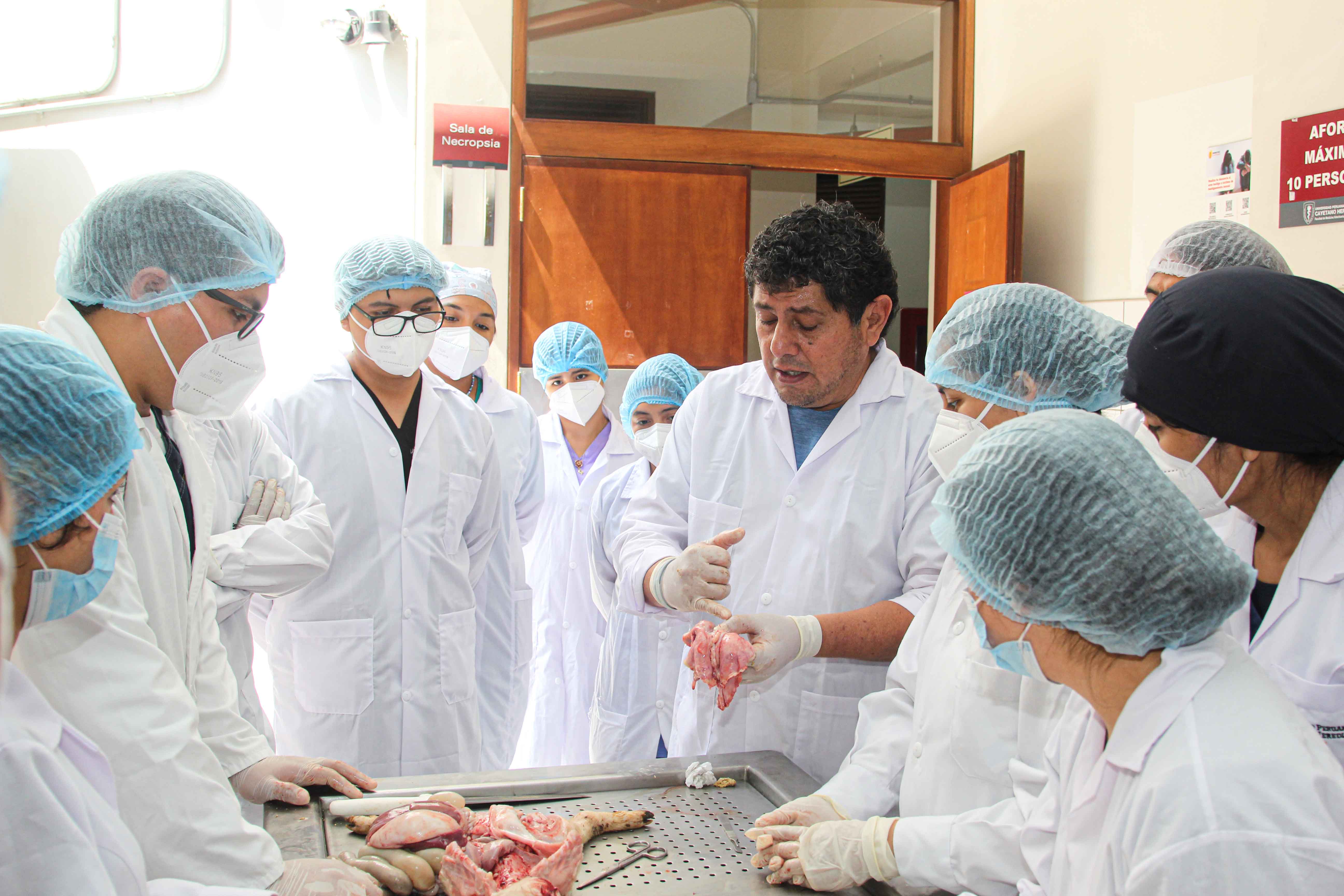 Universidad Cayetano Heredia y AV Products realizan taller de necropsia  porcina - Actualidad Porcina, image size:5184x3456