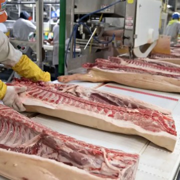 WEB Polémica en EE. UU. por decisión de acelerar producción en plantas porcinas y avícolas
