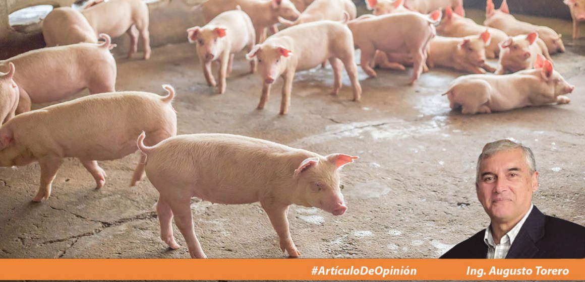 La porcicultura peruana en el escenario actual