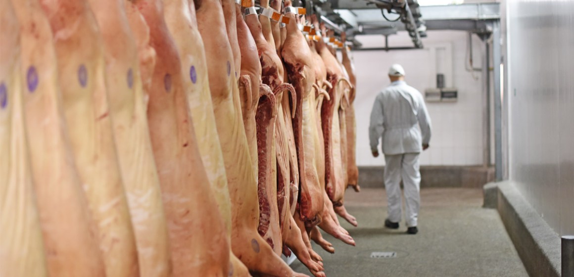 México mantiene récord en importación de carne porcina en primer trimestre de 2025