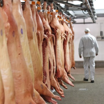 México mantiene récord en importación de carne porcina en primer trimestre de 2025