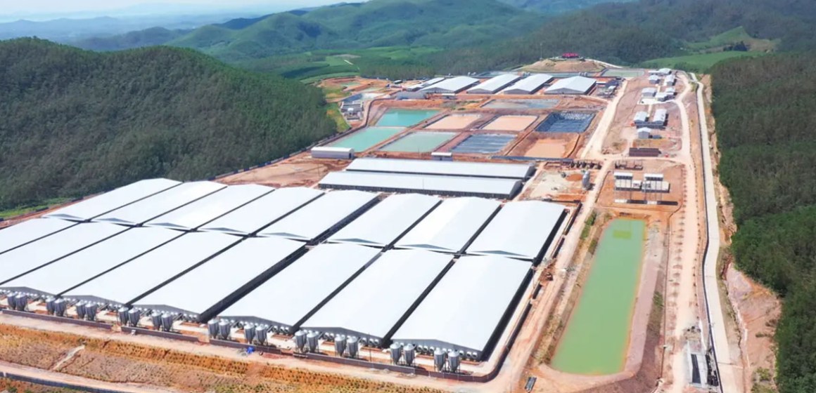 BAF Vietnam proyecta dos granjas para 2.1 millones de cerdos
