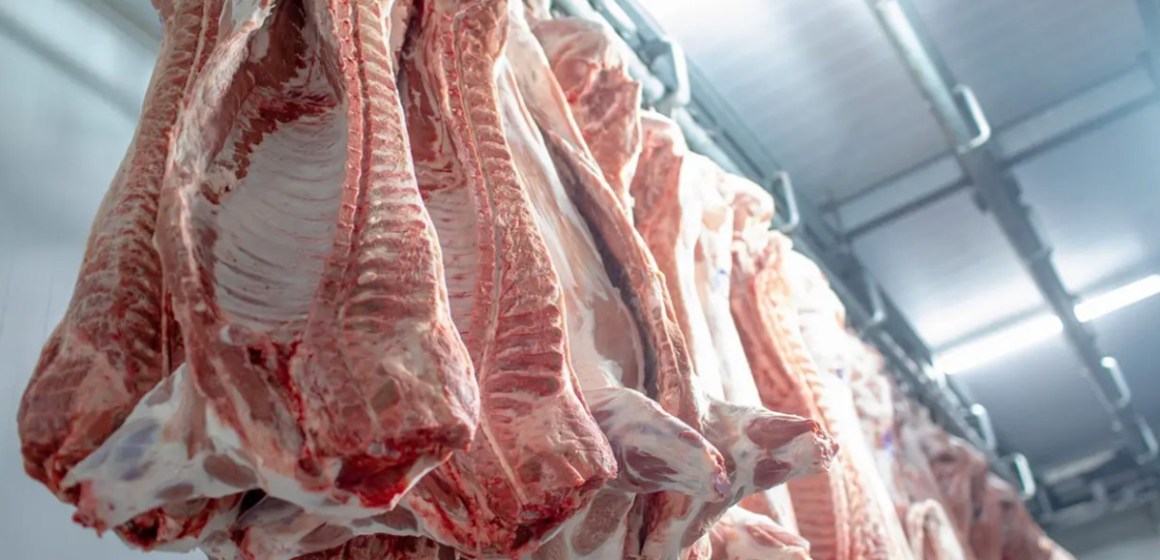 Brasil incrementa consumo interno de carne de cerdo y fortalece su industria