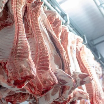 Brasil incrementa consumo interno de carne de cerdo y fortalece su industria