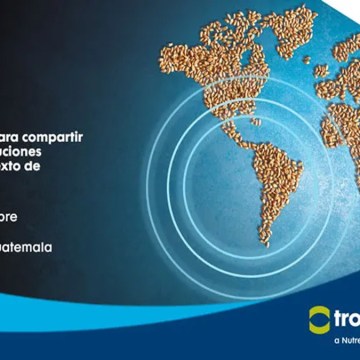 Trouw Nutrition convoca FeedTechnoVision LATAM 2025: Del grano a la excelencia
