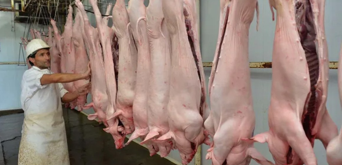 Mercado porcino peruano asegura abastecimiento estable con oferta nacional e importaciones