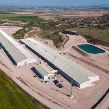 WEB Capital global busca oportunidades en la potente industria porcina española