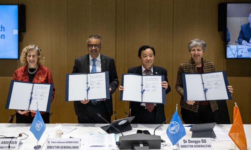 Una Sola Salud: un enfoque clave para fortalecer la sanidad animal y la sostenibilidad pecuaria en el Perú