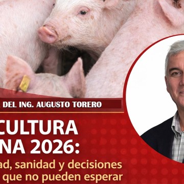 WEB PORCICULTURA PERUANA 2026: Productividad, sanidad y decisiones estratégicas que no pueden esperar