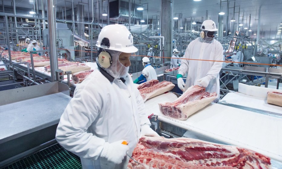 China detiene compras de carne de cerdo desde Tarragona, España, por casos de PPA