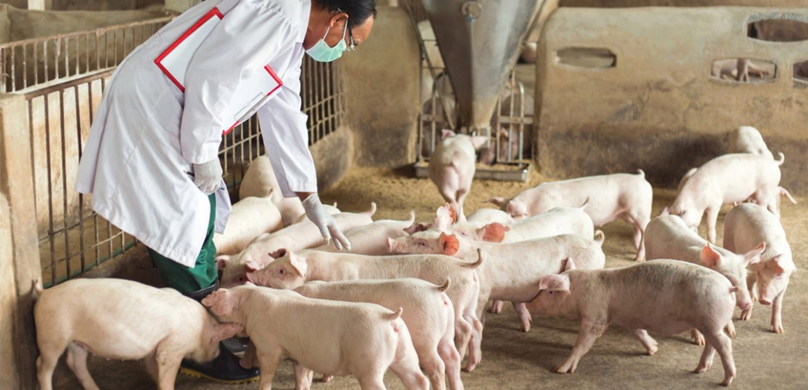 Empresarios de Singapur llegarán al Perú para fortalecer alianzas con nuestra industria