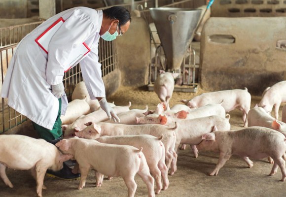 Empresarios de Singapur llegarán al Perú para fortalecer alianzas con nuestra industria