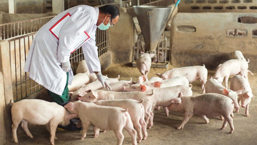 Empresarios de Singapur llegarán al Perú para fortalecer alianzas con nuestra industria