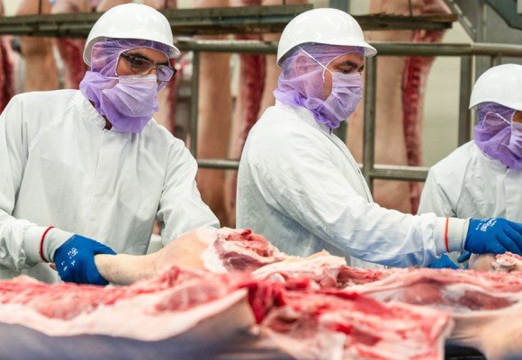 Sector porcino de EEUU mantiene perspectivas favorables para 2026 pese a aumento de costos