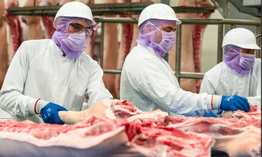 Sector porcino de EEUU mantiene perspectivas favorables para 2026 pese a aumento de costos