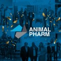 Animal Pharm: 9 años impulsando la industria