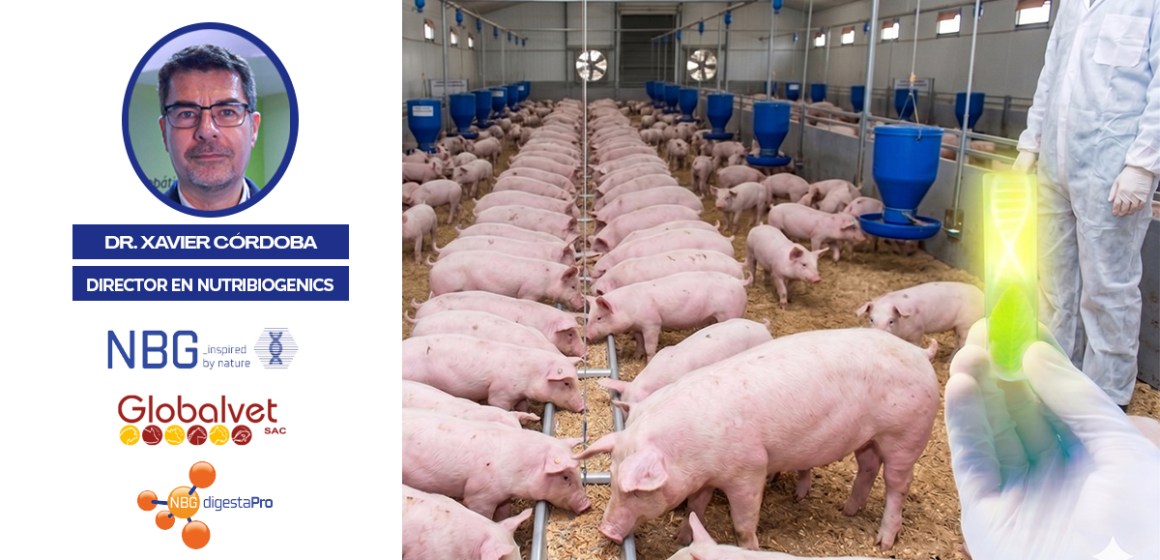 NutriBioGenics destacó la importancia de la valoración proteica en la nutrición animal