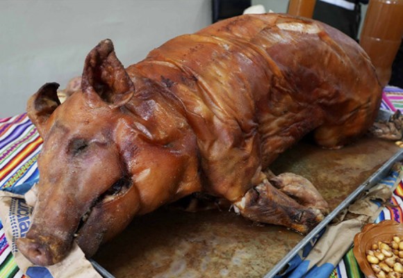 WEB Junín: Celebrarán la XXI Feria Agropecuaria y Festival del Chancho 2026