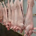 Mercado porcino peruano mantiene estabilidad en junio