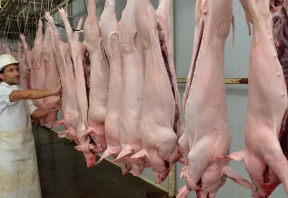 Mercado porcino peruano mantiene estabilidad en junio