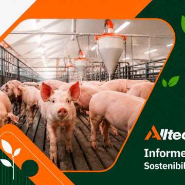 webYA Alltech presenta su Informe de Sostenibilidad 2025