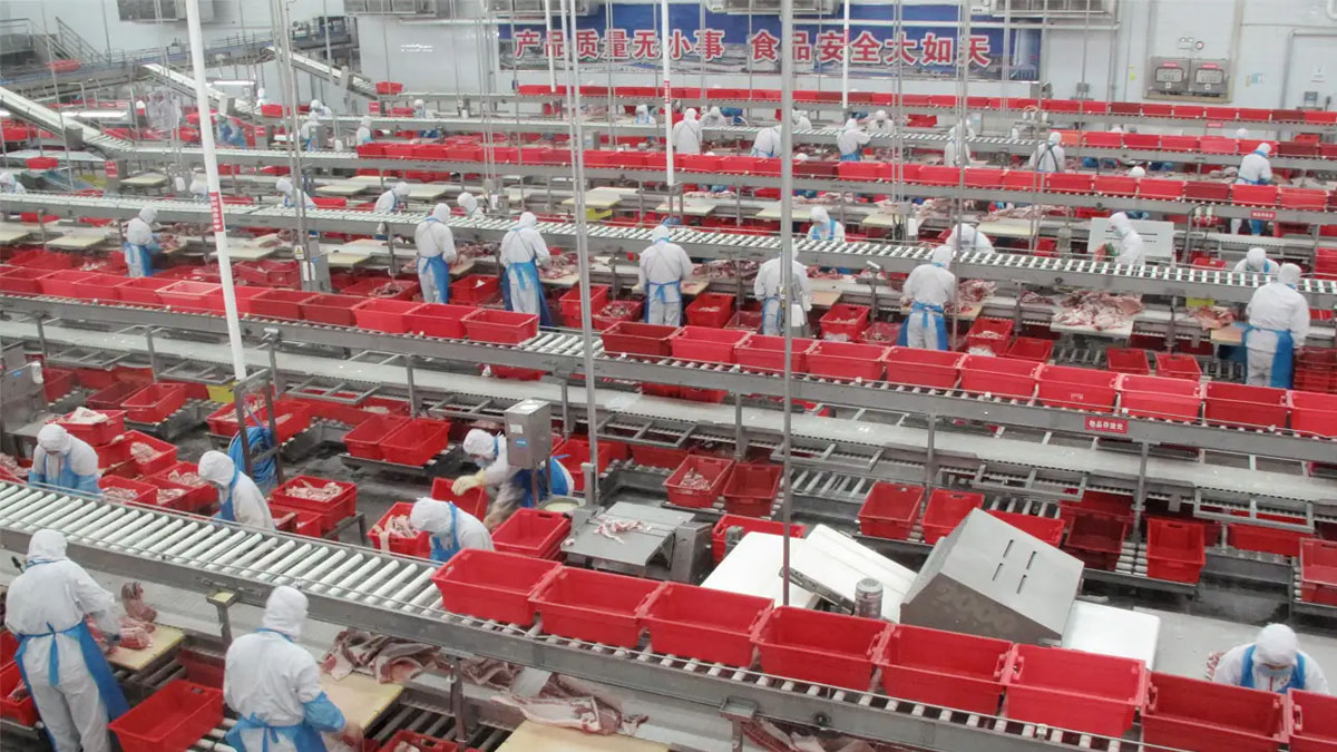 Este año China dejaría de producir casi 3 millones de Tn de cerdo