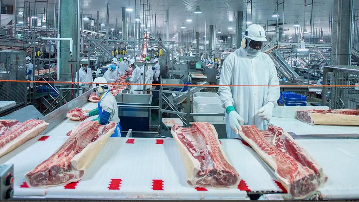 Rabobank espera aumento en consumo mundial de carne de cerdo en próximos meses