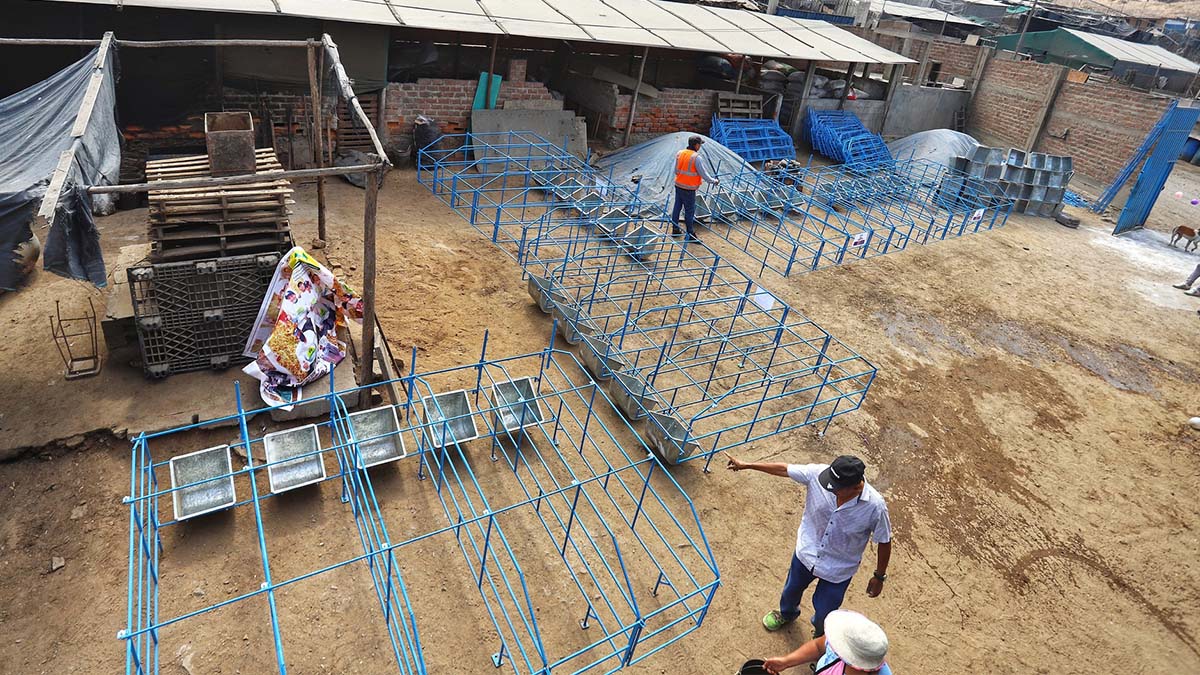 Porcicultores del Parque Porcino de Ventanilla potencian sus granjas