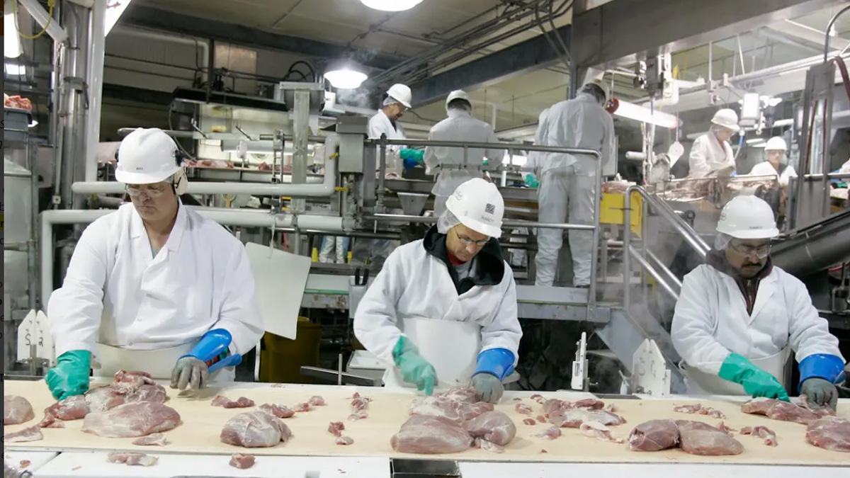 China podría imponer sanciones a la carne de cerdo europea