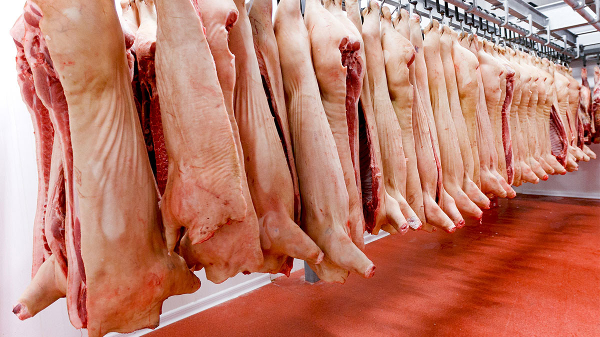 China busca acelerar acceso de nuevos productos agropecuarios peruanos a su mercado