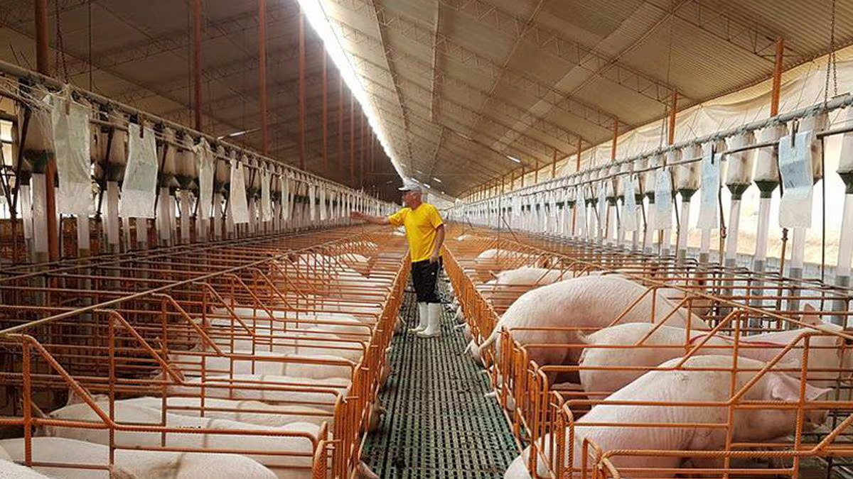 Próximo paso para exportar a China: Los protocolos sanitarios de exportación