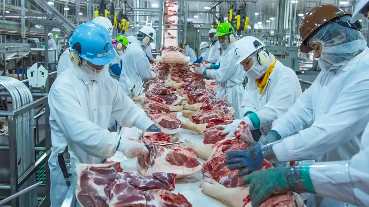 Canadá: Inteligencia Artificial para medir el bienestar animal