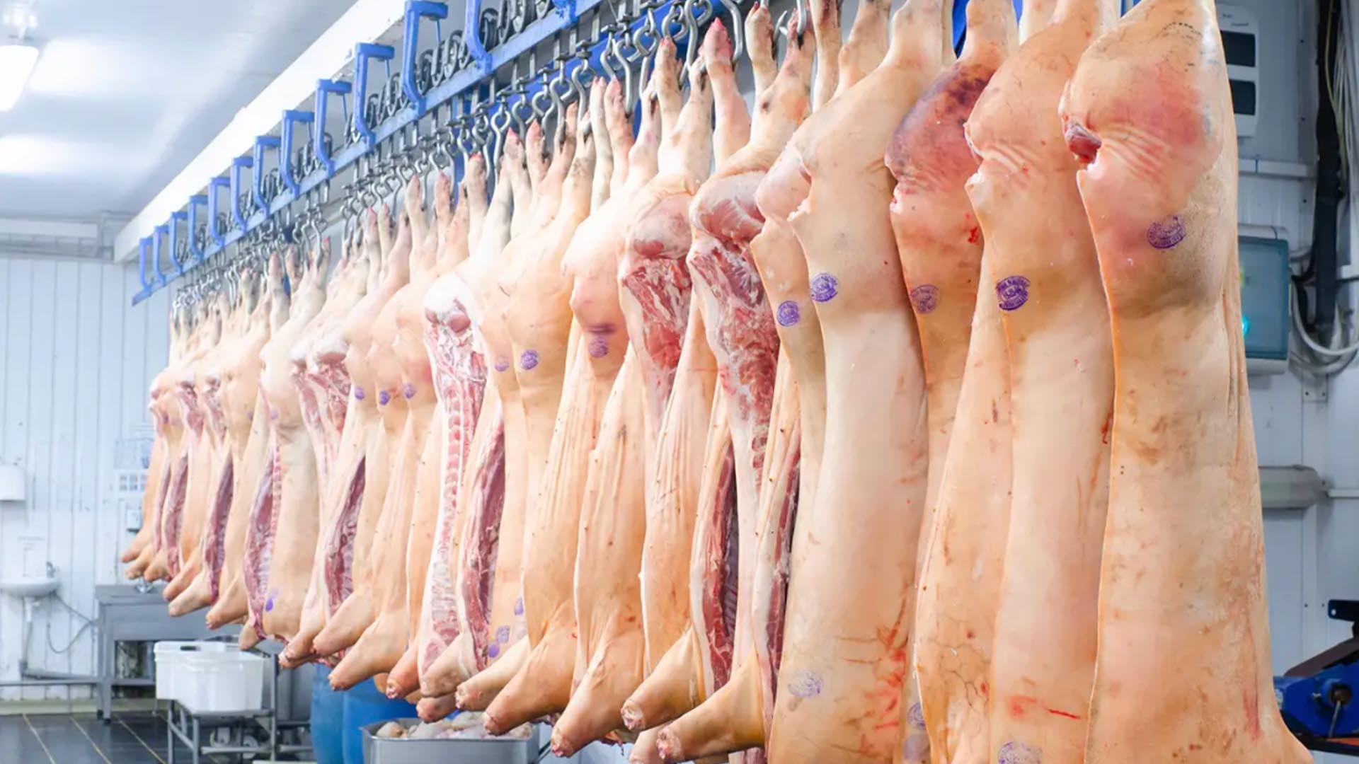 Perspectiva para 2035: Producción cárnica de la UE
