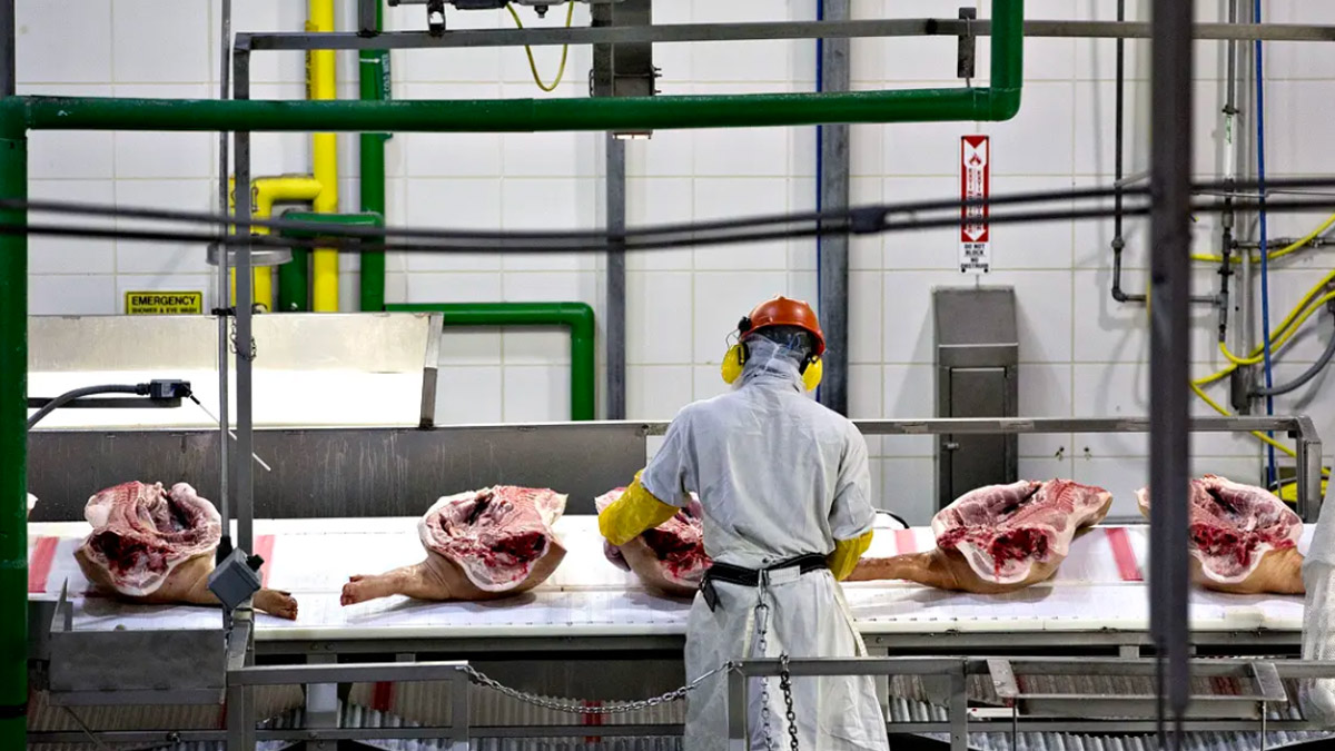 USDA: Producción mundial de carne alcanzará los 280 millones de Tn en 2024