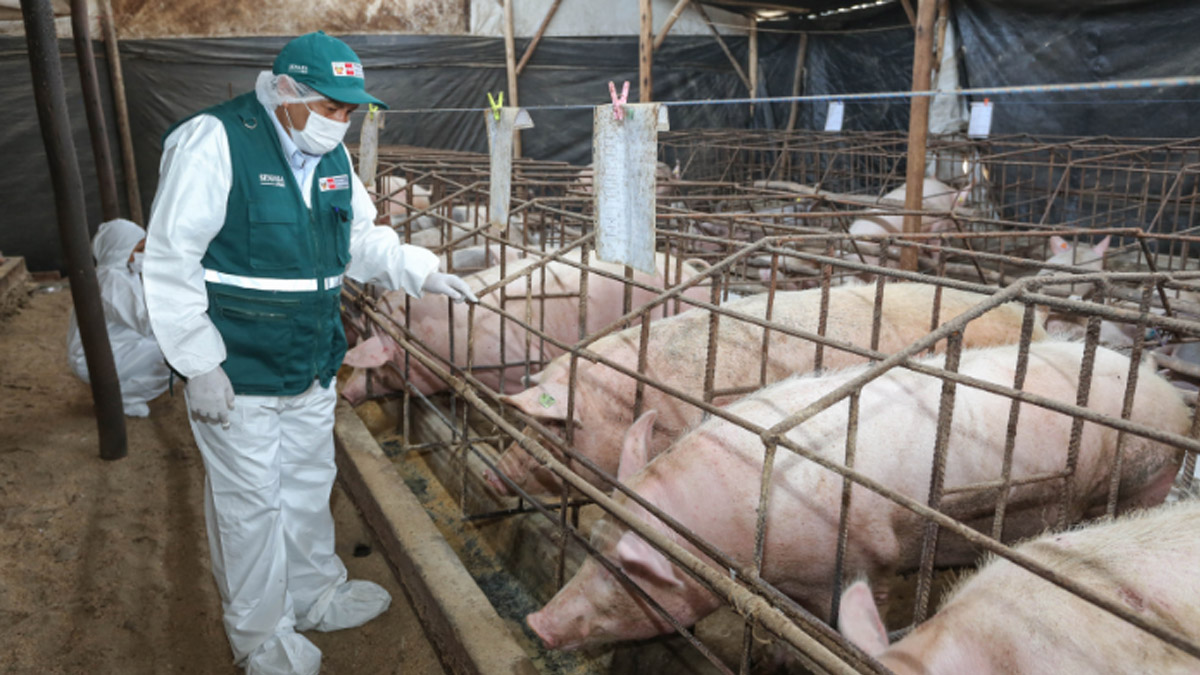 Midagri ejecutó presupuesto de S/2700 millones en 2024